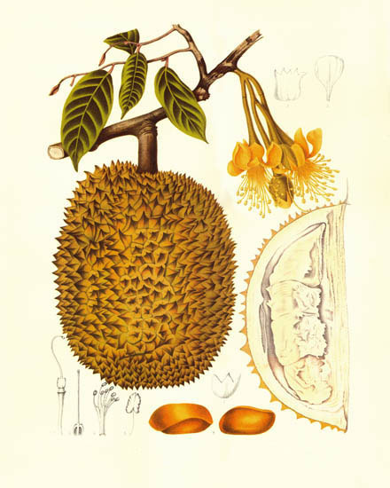 Kompatibel Blomster til JAHRRIESNGE flowers-lpf07029 Kompatibel Blomster JAHRRIESNGE til flowers-lpf07029