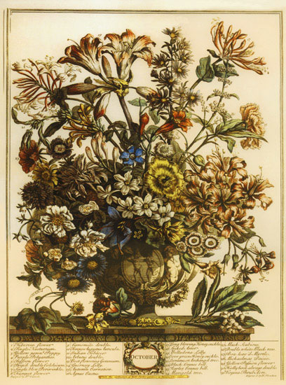 Kompatibel Blomster til Jahrriesnge flowers-lpf07095 Kompatibel Blomster Jahrriesnge til flowers-lpf07095