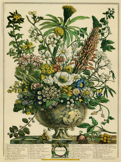 Kompatibel Blomster til Jahrriesnge flowers-lpf07097 Kompatibel Blomster Jahrriesnge til flowers-lpf07097