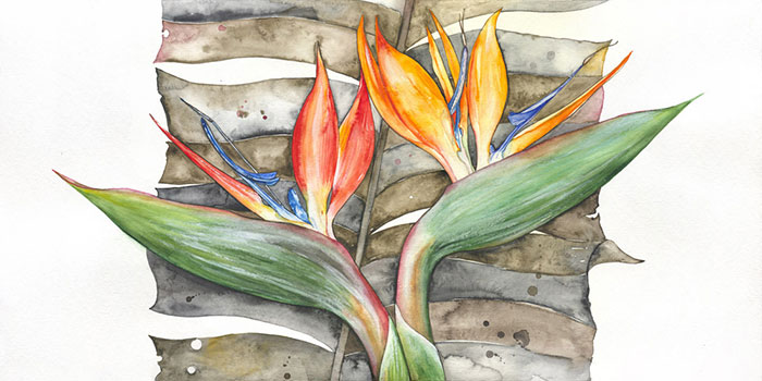 Kompatibel Blomster til Jahrriesnge flowers-lpf07105 Kompatibel Blomster Jahrriesnge til flowers-lpf07105