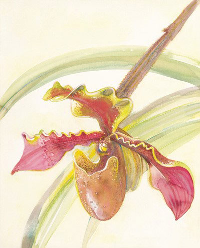 Kompatibel Blomster til Jahrriesnge flowers-lpf07174 Kompatibel Blomster Jahrriesnge til flowers-lpf07174