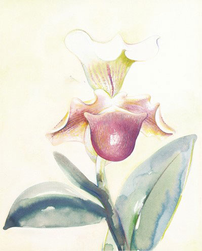 Kompatibel Blomster til JAHRRIESNGE flowers-lpf07176 Kompatibel Blomster JAHRRIESNGE til flowers-lpf07176