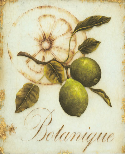 Kompatibel Blomster til Jahrriesnge flowers-lpf07181 Kompatibel Blomster Jahrriesnge til flowers-lpf07181