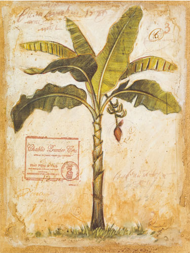 Kompatibel Blomster til Jahrriesnge flowers-lpf07195 Kompatibel Blomster Jahrriesnge til flowers-lpf07195