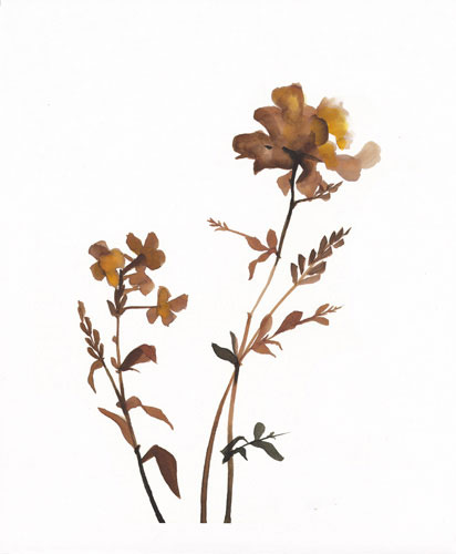 Kompatibel Blomster til JAHRRIESNGE flowers-lpf07210 Kompatibel Blomster JAHRRIESNGE til flowers-lpf07210