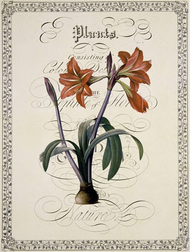 Kompatibel Blomster til Jahrriesnge flowers-lpf07222 Kompatibel Blomster Jahrriesnge til flowers-lpf07222