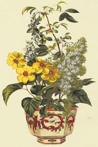 Kompatibel Blomster til JAHRRIESNGE flowers-lpf07237 Kompatibel Blomster JAHRRIESNGE til flowers-lpf07237