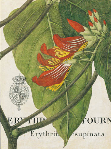 Kompatibel Blomster til JAHRRIESNGE flowers-lpf07268 Kompatibel Blomster JAHRRIESNGE til flowers-lpf07268