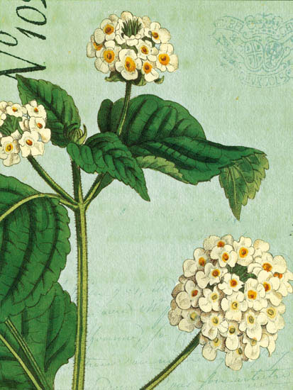 Kompatibel Blomster til JAHRRIESNGE flowers-lpf07269 Kompatibel Blomster JAHRRIESNGE til flowers-lpf07269