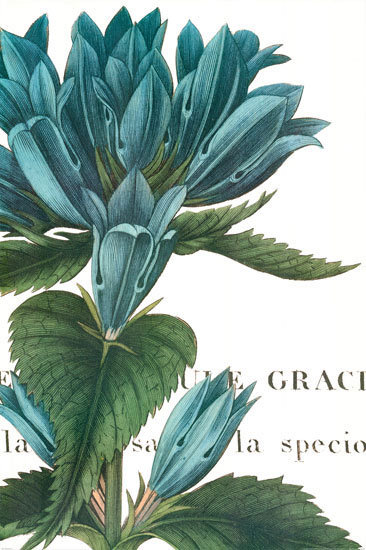 Kompatibel Blomster til JAHRRIESNGE flowers-lpf07283 Kompatibel Blomster JAHRRIESNGE til flowers-lpf07283