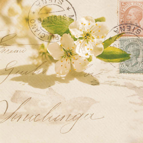 Kompatibel Blomster til Jahrriesnge flowers-lpf07387 Kompatibel Blomster Jahrriesnge til flowers-lpf07387