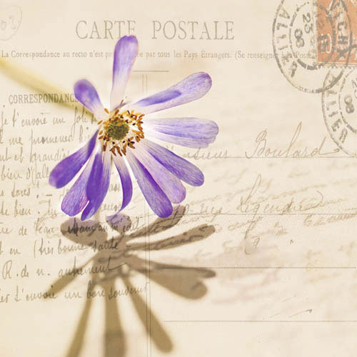 Kompatibel Blomster til Jahrriesnge flowers-lpf07389 Kompatibel Blomster Jahrriesnge til flowers-lpf07389