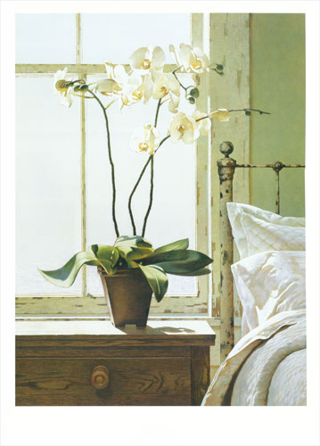 Kompatibel Blomster til JAHRRIESNGE flowers-lpf07618 Kompatibel Blomster JAHRRIESNGE til flowers-lpf07618