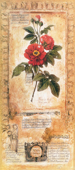 Kompatibel Blomster til JAHRRIESNGE flowers lpf07723 Kompatibel Blomster JAHRRIESNGE til flowers lpf07723