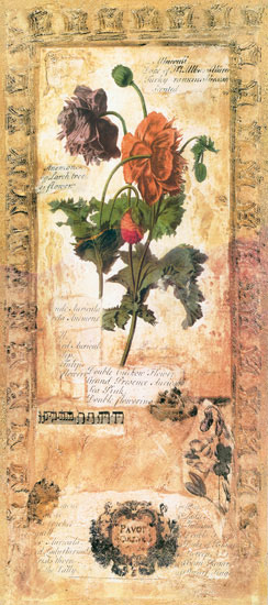 Kompatibel Blomster til JAHRRIESNGE flowers lpf07724 Kompatibel Blomster JAHRRIESNGE til flowers lpf07724