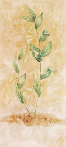 Kompatibel Blomster til JAHRRIESNGE flowers lpf07741 Kompatibel Blomster JAHRRIESNGE til flowers lpf07741