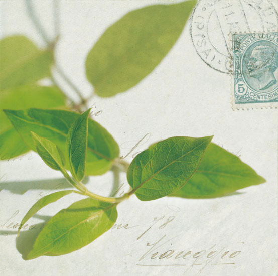 Kompatibel Blomster til JAHRRIESNGE leaves lpf07938 Kompatibel Blomster JAHRRIESNGE til leaves lpf07938