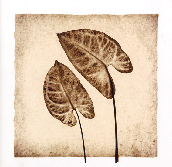 Kompatibel Blomster til JAHRRIESNGE leaf lpf08073 Kompatibel Blomster JAHRRIESNGE til leaf lpf08073