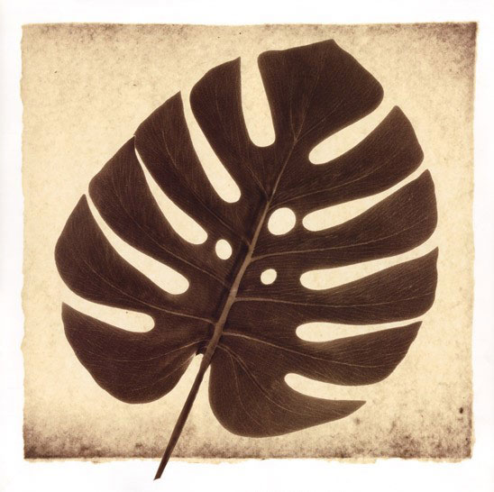 Kompatibel Blomster til Jahrriesnge leaf lpf08074 Kompatibel Blomster Jahrriesnge til leaf lpf08074