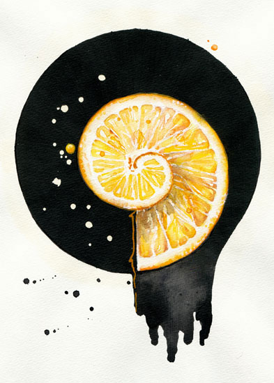 Kompatibel Blomster til Jahrriesnge fruits lpf08142 Kompatibel Blomster Jahrriesnge til fruits lpf08142