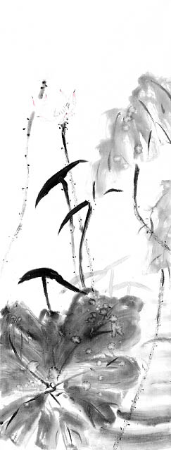 Kompatibel Landskab til JAHRRIESNGE untitle lpf09343 Kompatibel Landskab JAHRRIESNGE til untitle lpf09343