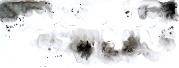 Kompatibel Landskab til Jahrriesnge fishes lpf09416 Kompatibel Landskab Jahrriesnge til fishes lpf09416