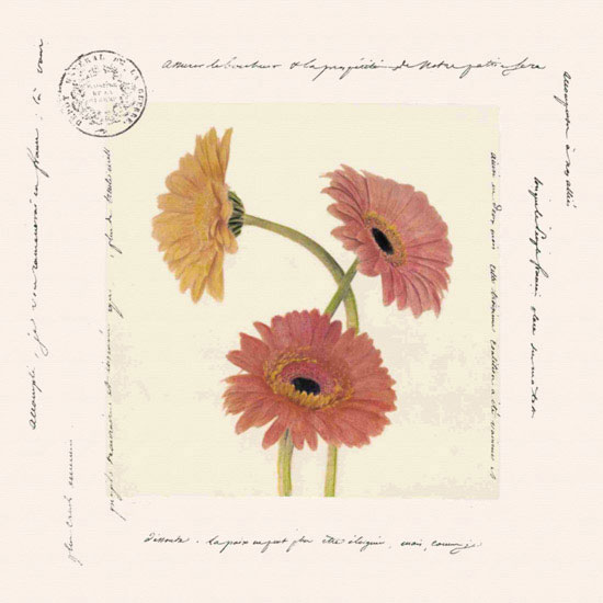 Kompatibel Blomster til JAHRRIESNGE flowers lpf09642 Kompatibel Blomster JAHRRIESNGE til flowers lpf09642