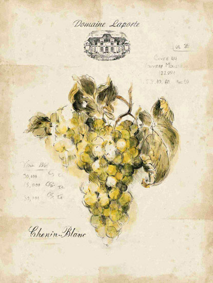 Kompatibel Blomster til JAHRRIESNGE grapes lpf09657 Kompatibel Blomster JAHRRIESNGE til grapes lpf09657