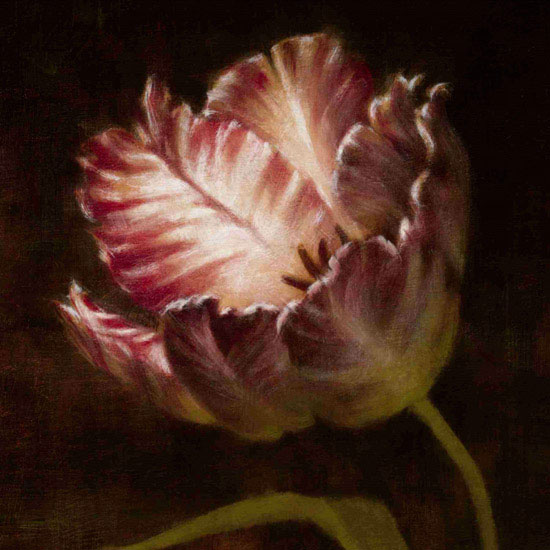 Kompatibel Blomster til JAHRRIESNGE flowers lpf09817 Kompatibel Blomster JAHRRIESNGE til flowers lpf09817