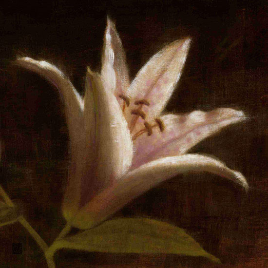 Kompatibel Blomster til Jahrriesnge flowers lpf09818 Kompatibel Blomster Jahrriesnge til flowers lpf09818