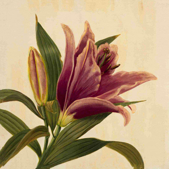 Kompatibel Blomster til JAHRRIESNGE flowers lpf09939 Kompatibel Blomster JAHRRIESNGE til flowers lpf09939