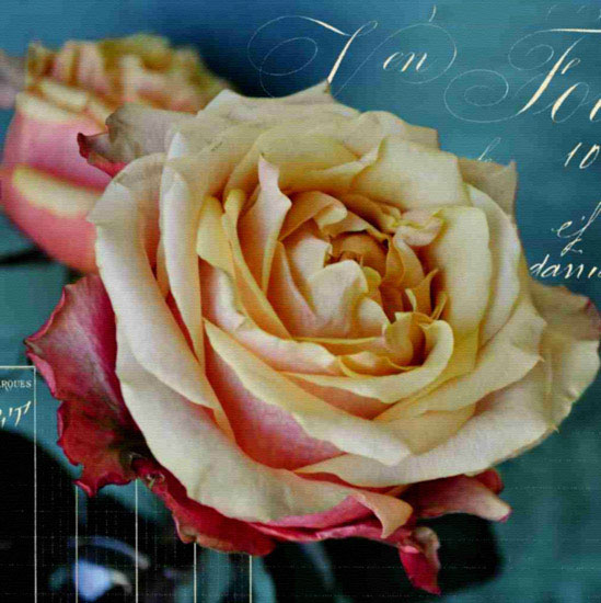 Kompatibel Blomster til JAHRRIESNGE flowers lpf10018 Kompatibel Blomster JAHRRIESNGE til flowers lpf10018