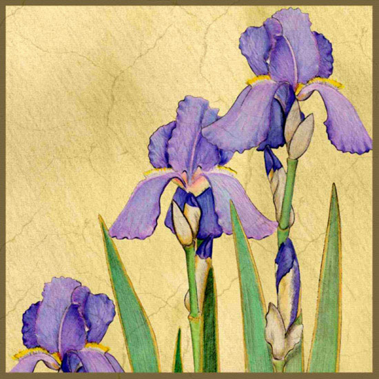 Kompatibel Blomster Jahrriesnge  til flowers lpf10045 