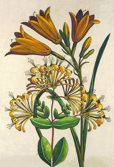 Kompatibel Blomster til Jahrriesnge flowers lpf10189 Kompatibel Blomster Jahrriesnge til flowers lpf10189