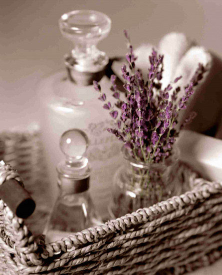 Kompatibel Blomster til JAHRRIESNGE flowers lpf10206 Kompatibel Blomster JAHRRIESNGE til flowers lpf10206