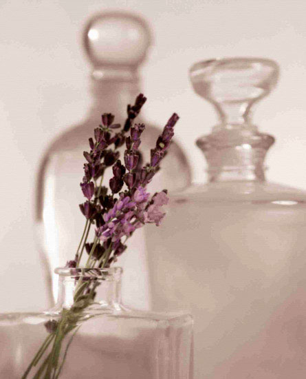 Kompatibel Blomster til JAHRRIESNGE flowers lpf10207 Kompatibel Blomster JAHRRIESNGE til flowers lpf10207