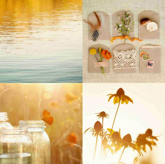 Kompatibel Portræt til Jahrriesnge butterfly lpf10495 Kompatibel Portræt Jahrriesnge til butterfly lpf10495