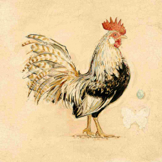 Kompatibel Dyr til Jahrriesnge cock lpf10565 Kompatibel Dyr Jahrriesnge til cock lpf10565