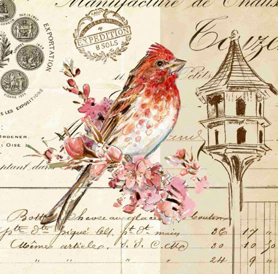 Kompatibel Dyr til Jahrriesnge bird lpf10592 Kompatibel Dyr Jahrriesnge til bird lpf10592