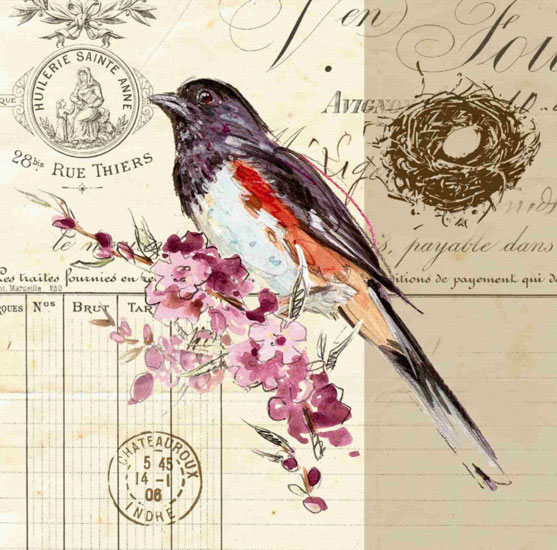 Kompatibel Dyr til Jahrriesnge bird lpf10594 Kompatibel Dyr Jahrriesnge til bird lpf10594