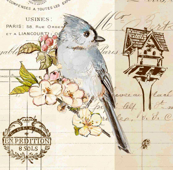 Kompatibel Dyr til Jahrriesnge bird lpf10595 Kompatibel Dyr Jahrriesnge til bird lpf10595