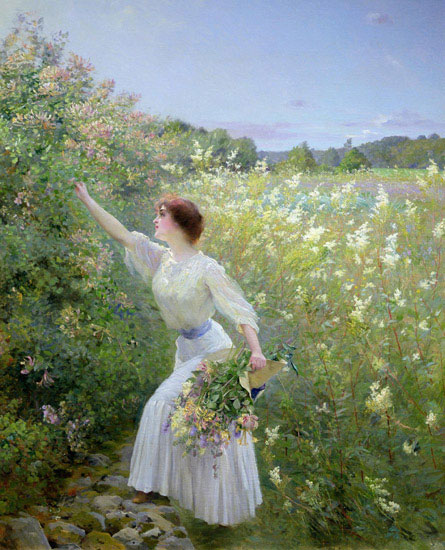 Kompatibel Portræt til Jahrriesnge outdoor lpf12711 Kompatibel Portræt Jahrriesnge til outdoor lpf12711