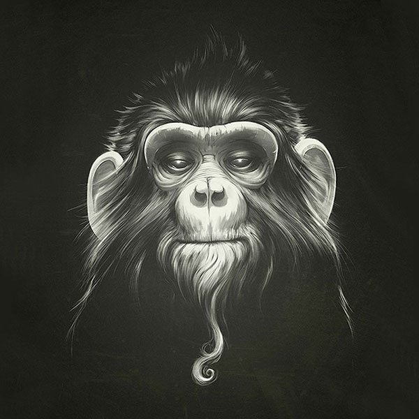 Kompatibel Dyr til Jahrriesnge monkey-lpg1628 Kompatibel Dyr Jahrriesnge til monkey-lpg1628