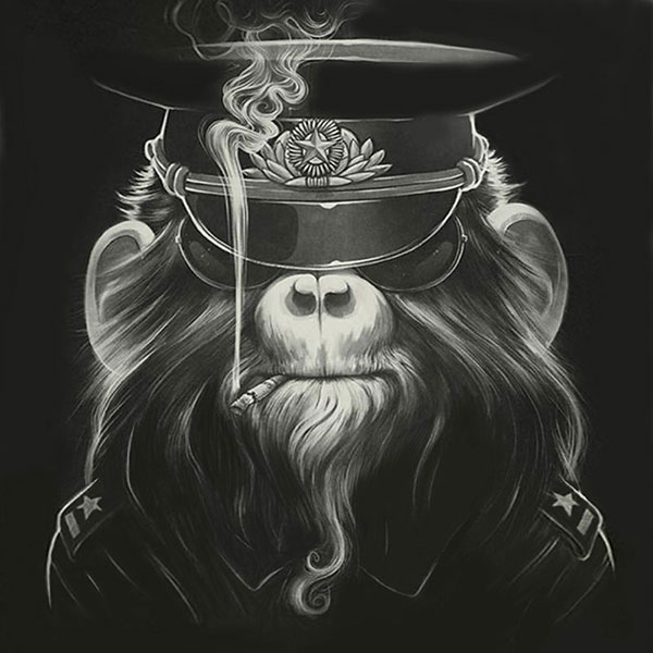 Kompatibel Dyr til Jahrriesnge monkey-lpg1631 Kompatibel Dyr Jahrriesnge til monkey-lpg1631