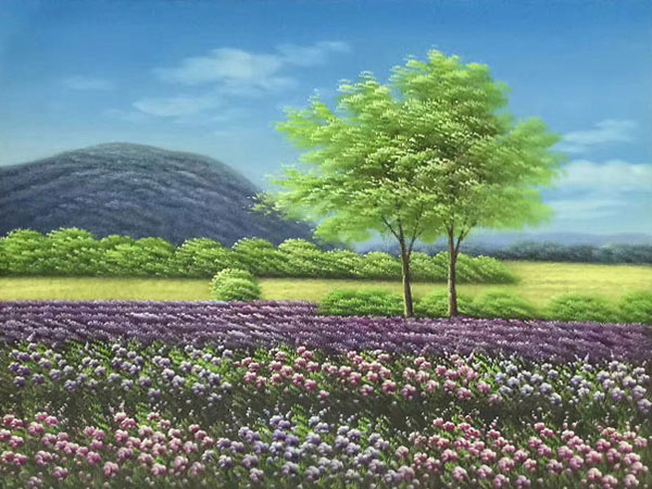 Kompatibel Landskab til Jahrriesnge hill-lpg1686 Kompatibel Landskab Jahrriesnge til hill-lpg1686