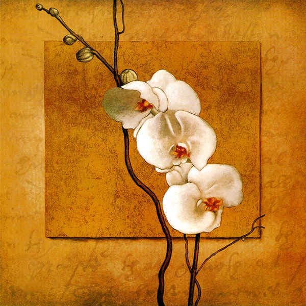 Kompatibel Stilleben til Jahrriesnge flowers lpg2555 Kompatibel Stilleben Jahrriesnge til flowers lpg2555