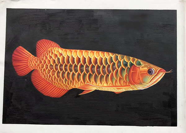 Kompatibel Dyr til Jahrriesnge fish lpg2673 Kompatibel Dyr Jahrriesnge til fish lpg2673