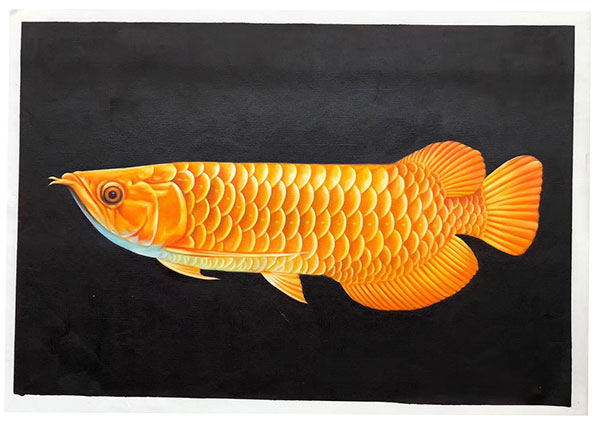 Kompatibel Dyr til Jahrriesnge fish lpg2675 Kompatibel Dyr Jahrriesnge til fish lpg2675