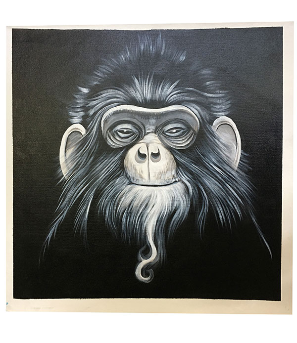 Kompatibel Dyr til Jahrriesnge monkey lpg2712 Kompatibel Dyr Jahrriesnge til monkey lpg2712